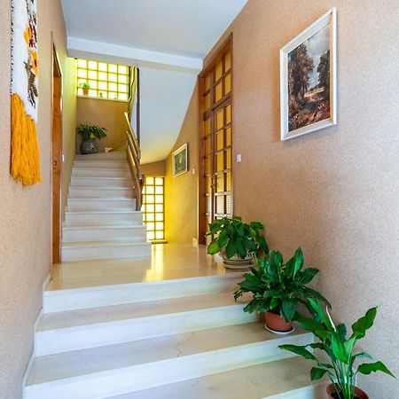 Apartments Villa Ivka Dubrovnik Extérieur photo