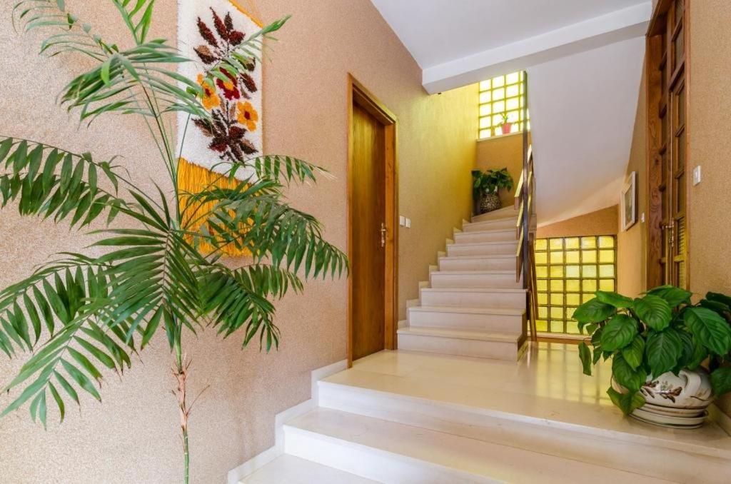 Apartments Villa Ivka Dubrovnik Extérieur photo