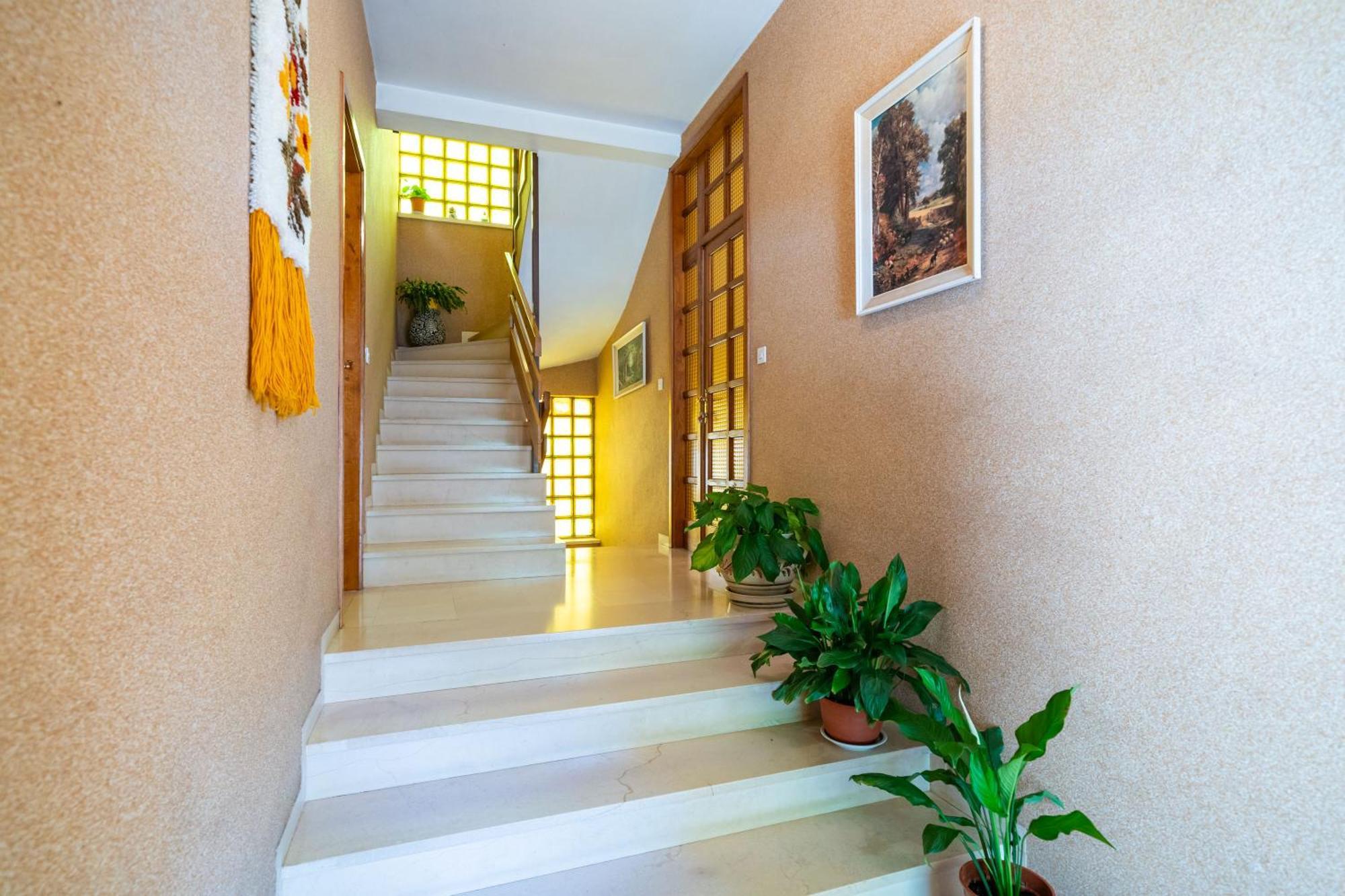 Apartments Villa Ivka Dubrovnik Extérieur photo
